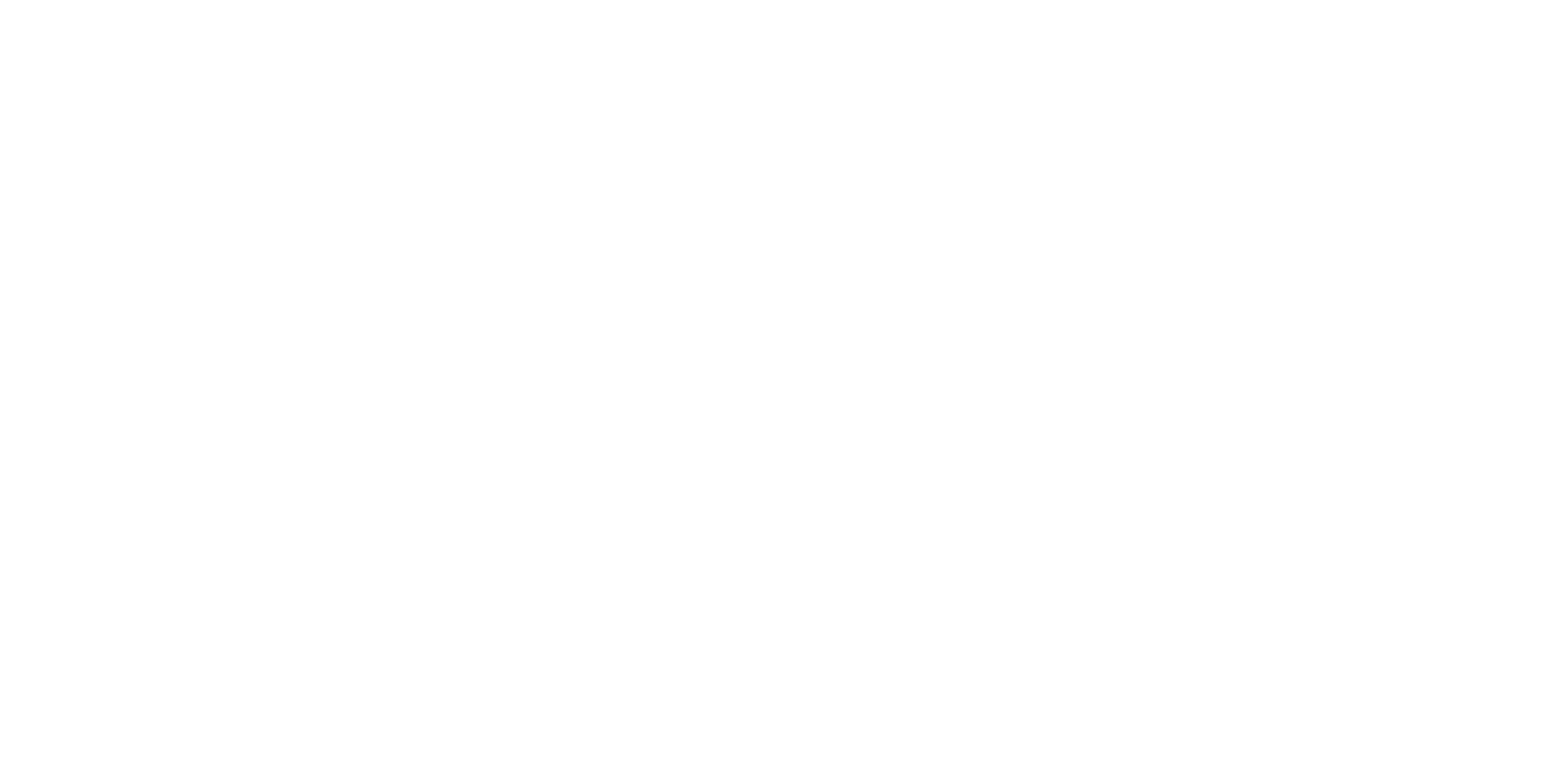 B&V Insurance Group